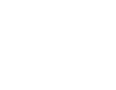 思い思いに場を楽しむ